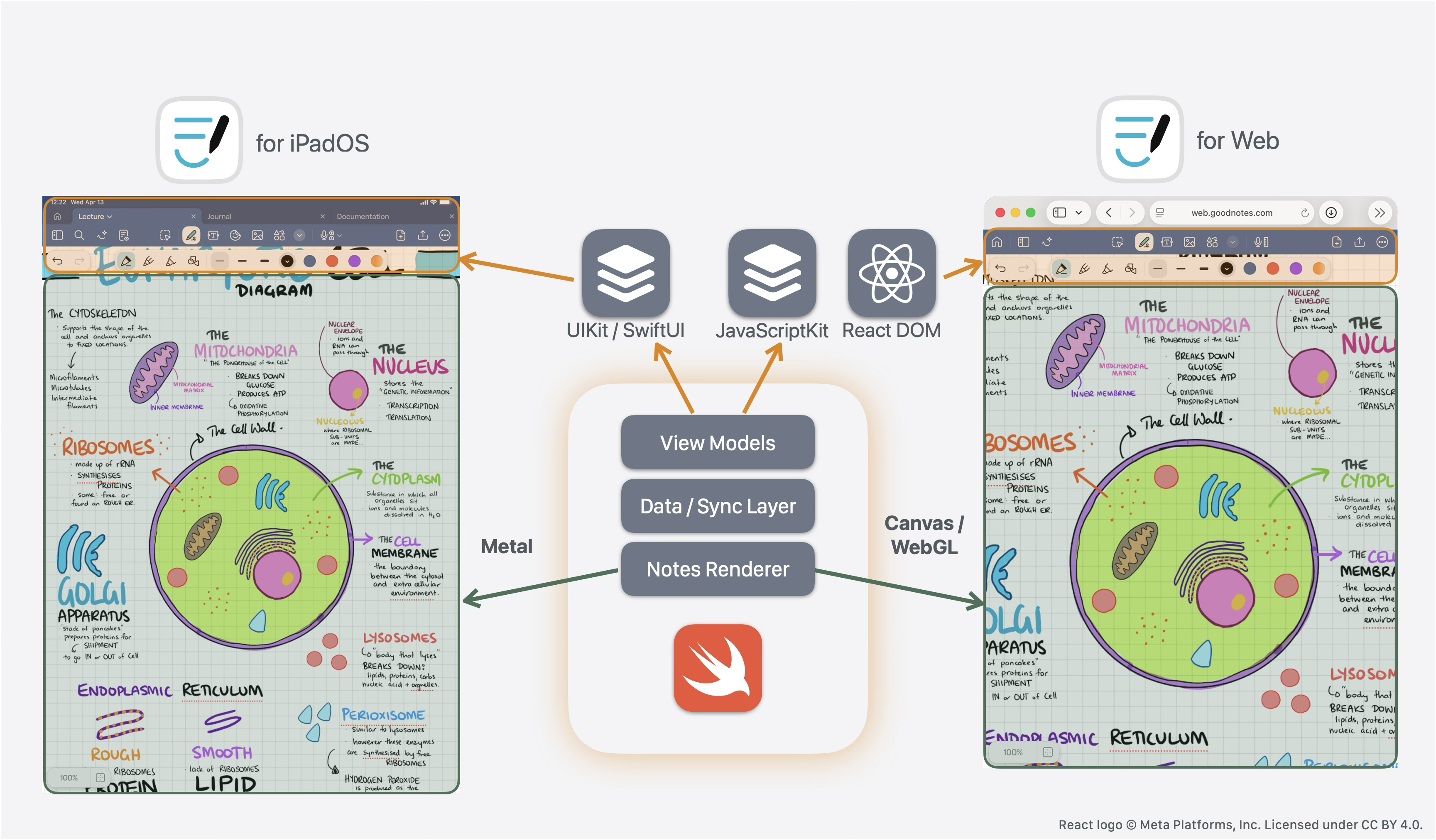 Goodnotes WebAssembly Architecture showing shared Swift code between iOS and Web platforms.