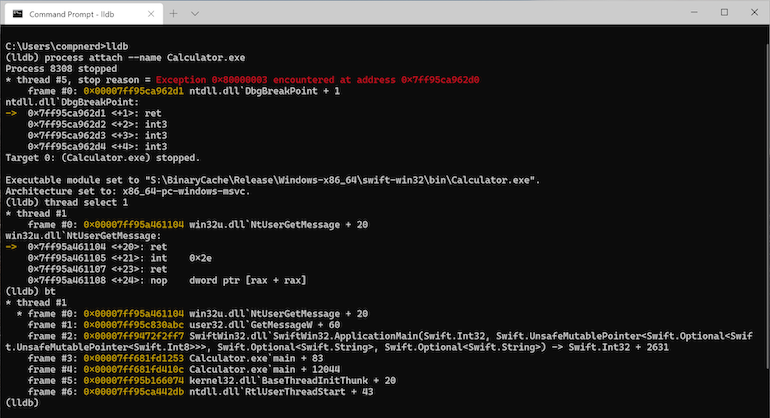 LLDB console debugging Swift application on Windows